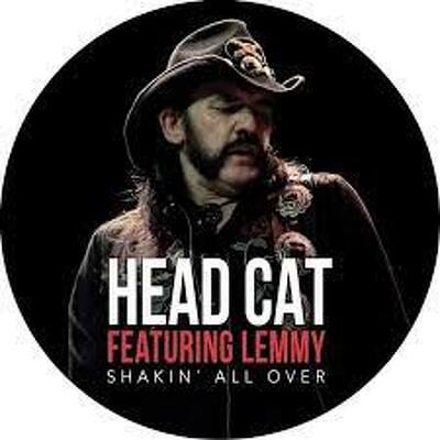 CD Shop - HEAD CAT SHAKIN ALL OVER