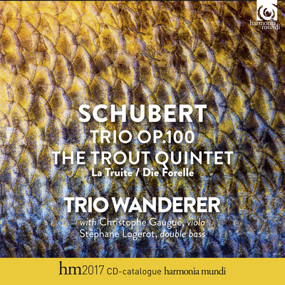 CD Shop - SCHUBERT PIANO TRIO OP.100