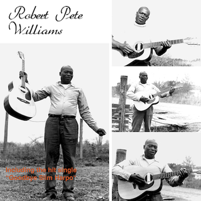 CD Shop - ROBERT PETE WILLIAMS ROBERT PETE WILLI