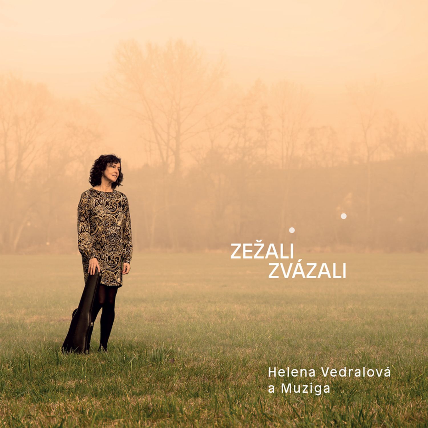 CD Shop - VEDRALOVA HELENA & MUZIGA ZEZALI ZVAZALI