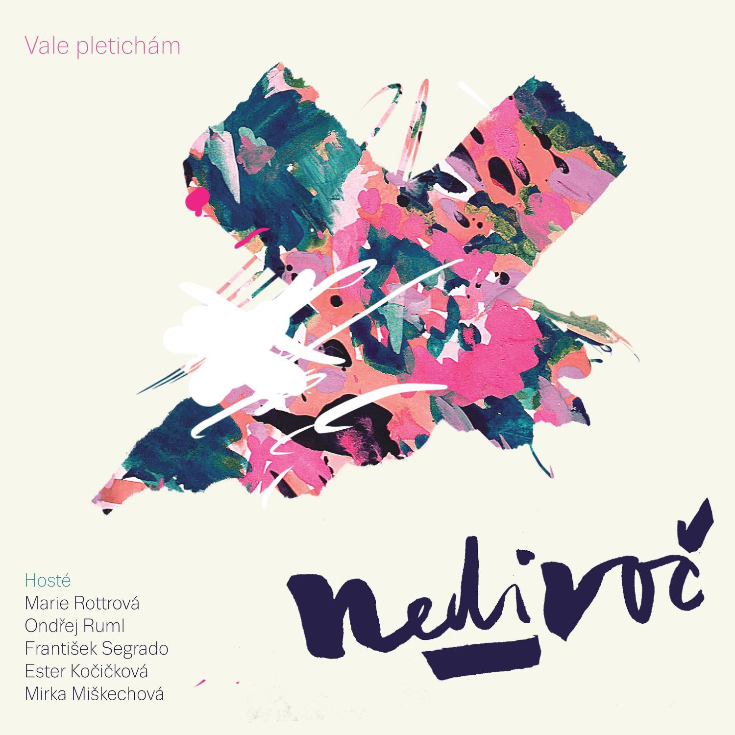 CD Shop - NEDIVOC VALE PLETICHAM
