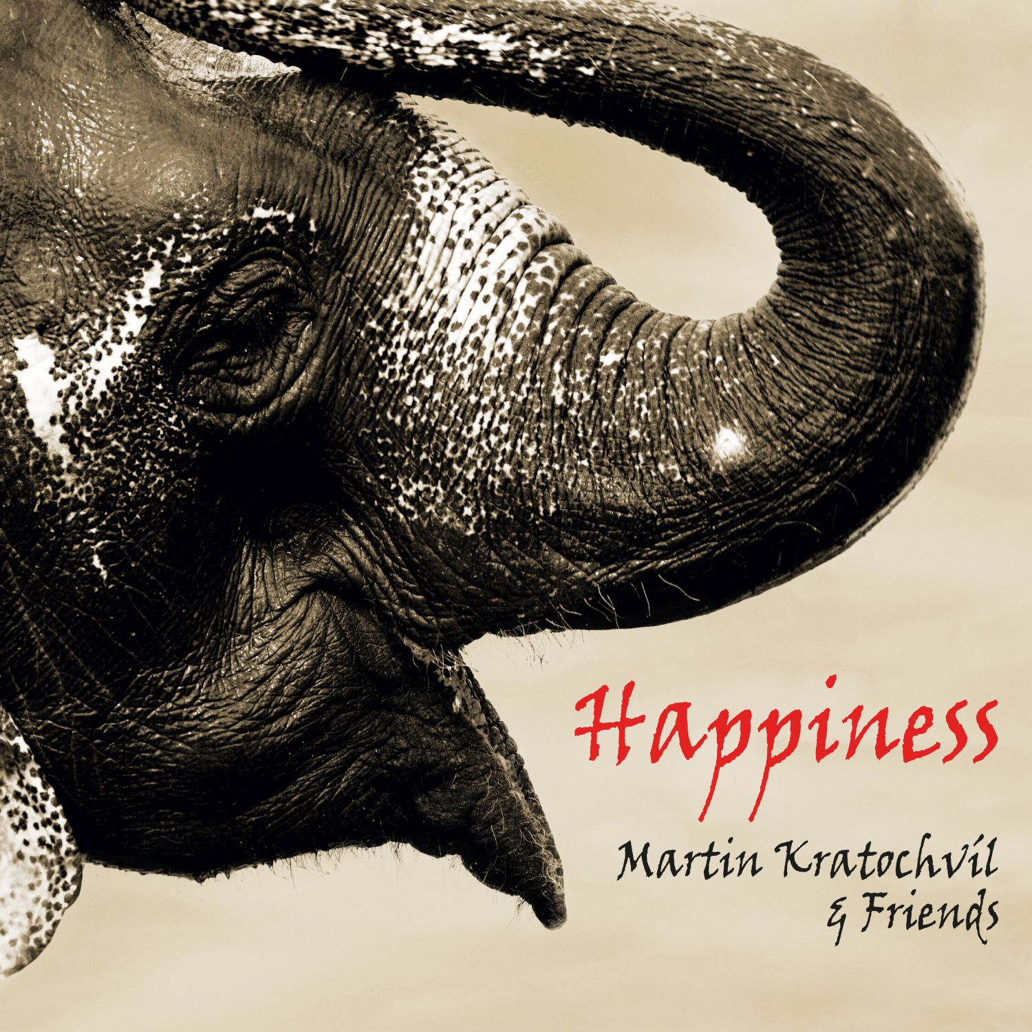 CD Shop - KRATOCHVIL MARTIN & FRIENDS HAPPINESS (STESTI)
