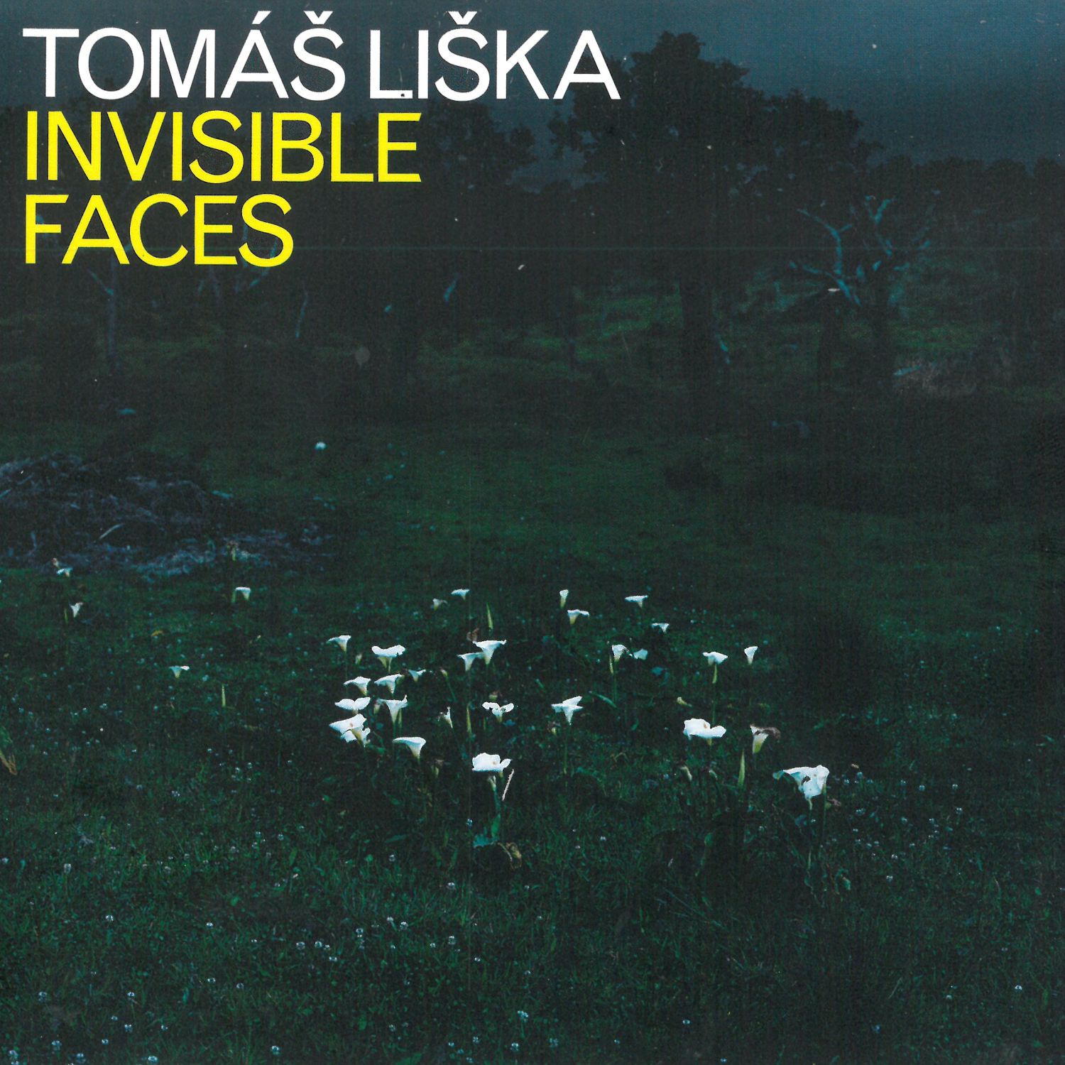 CD Shop - LISKA TOMAS INVISIBLE FACES