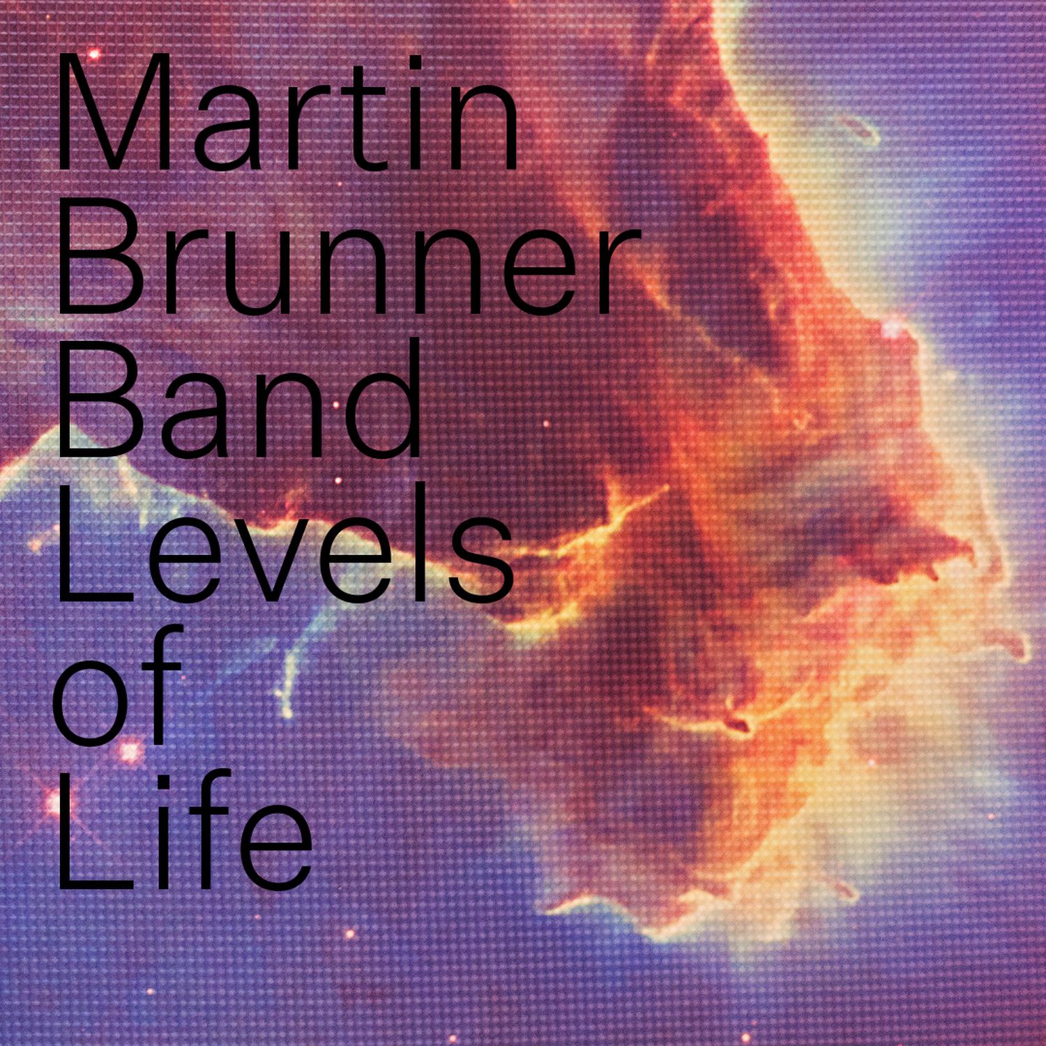 CD Shop - MARTIN BRUNNER BAND LEVELS OF LIFE