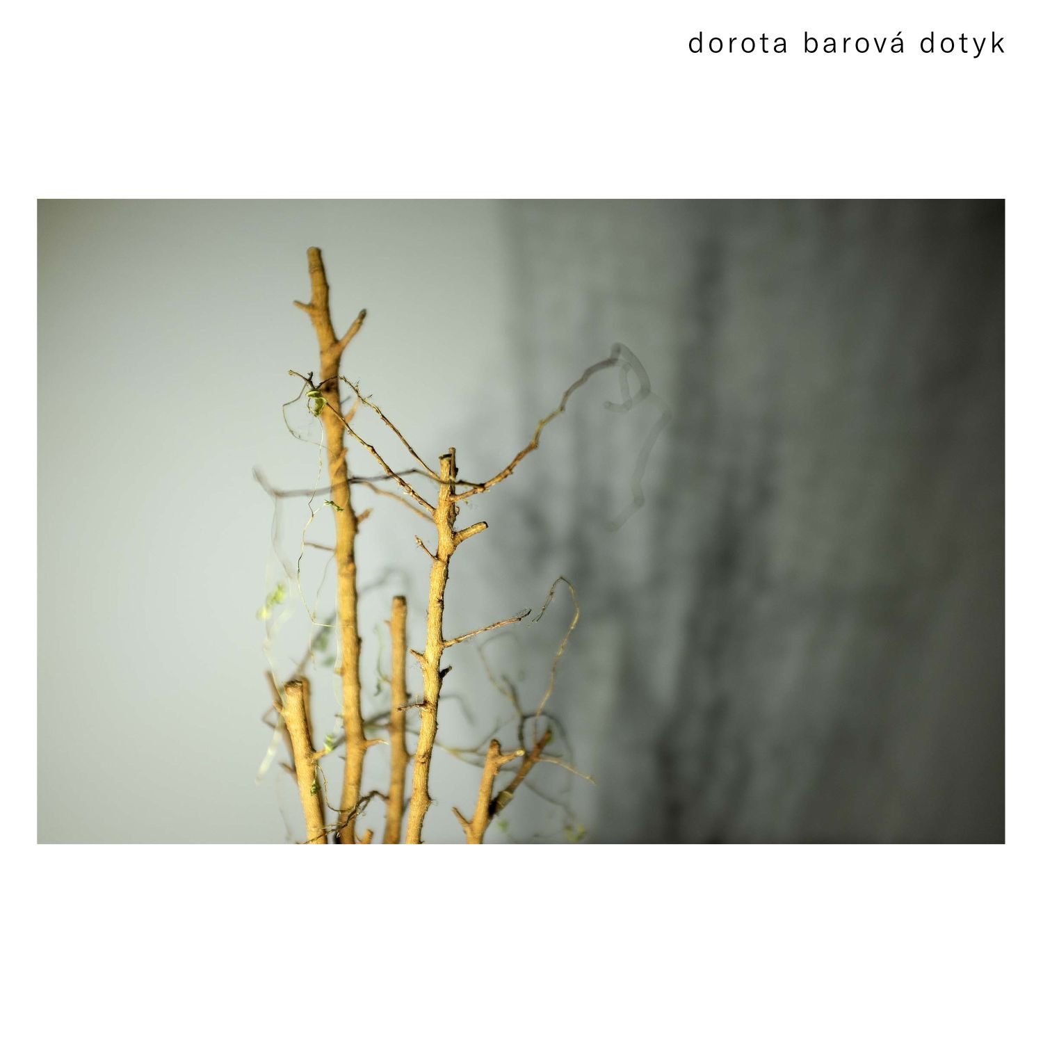 CD Shop - BAROVA DOROTA DOTYK