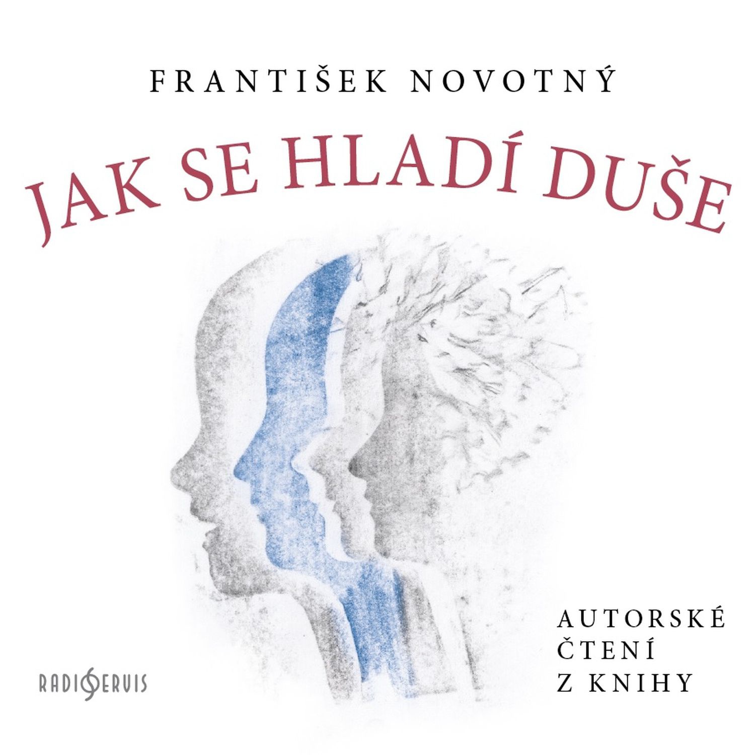 CD Shop - NOVOTNY FRANTISEK NOVOTNY: JAK SE HLADI DUSE