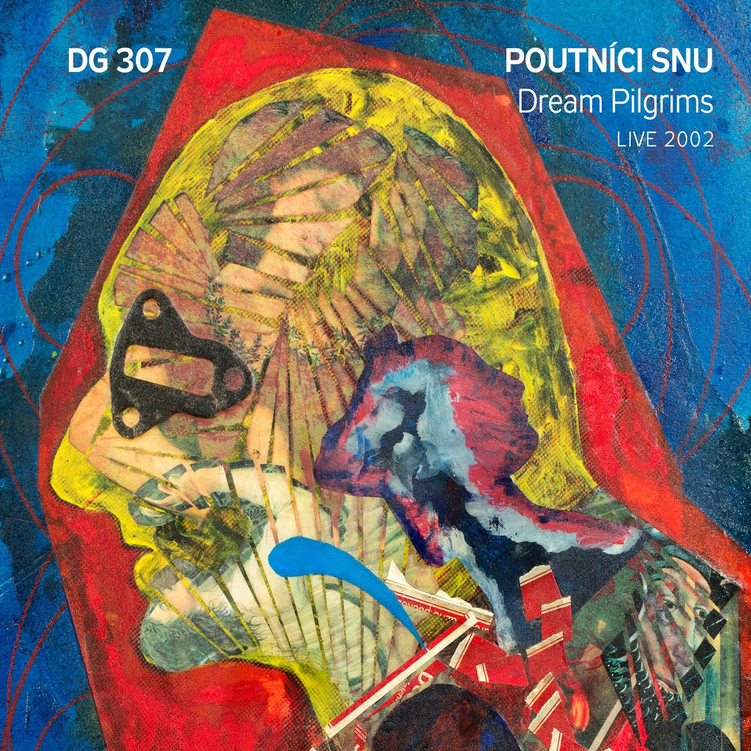 CD Shop - DG 307 POUTNICI SNU (LIVE 2002)
