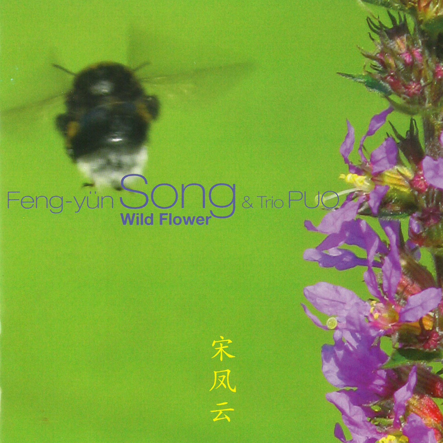 CD Shop - FENG-JUN SONG & PUO WILD FLOWER