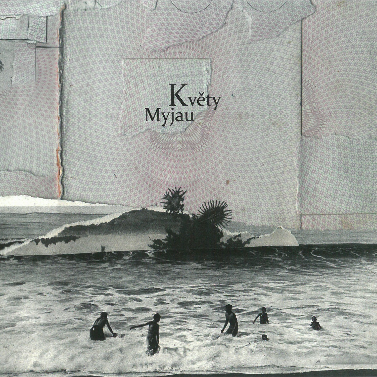 CD Shop - KVETY MYJAU