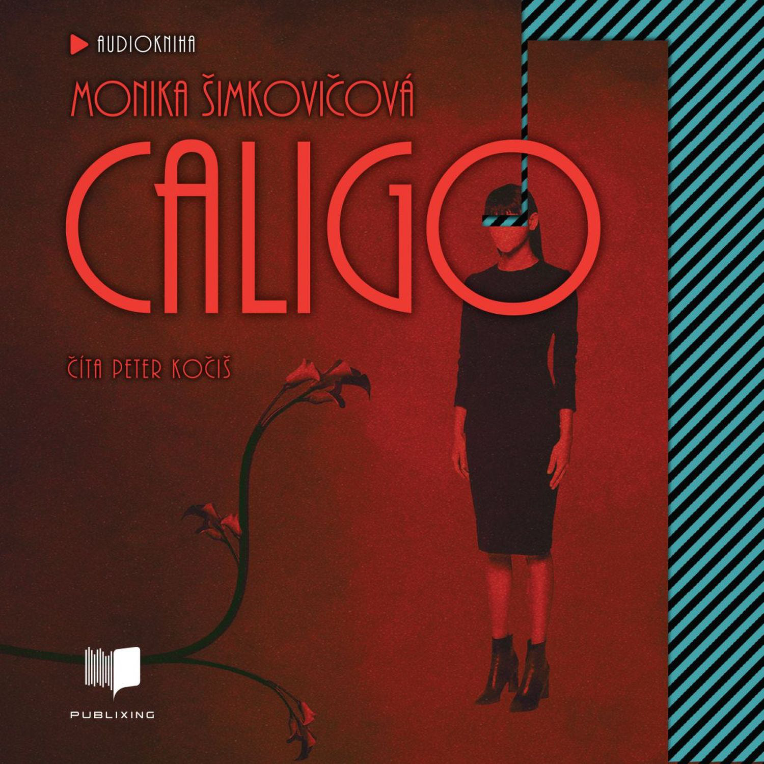 CD Shop - AUDIOKNIHA MONIKA SIMKOVICOVA / CITA PETER KOCIS CALIGO (MP3-CD)