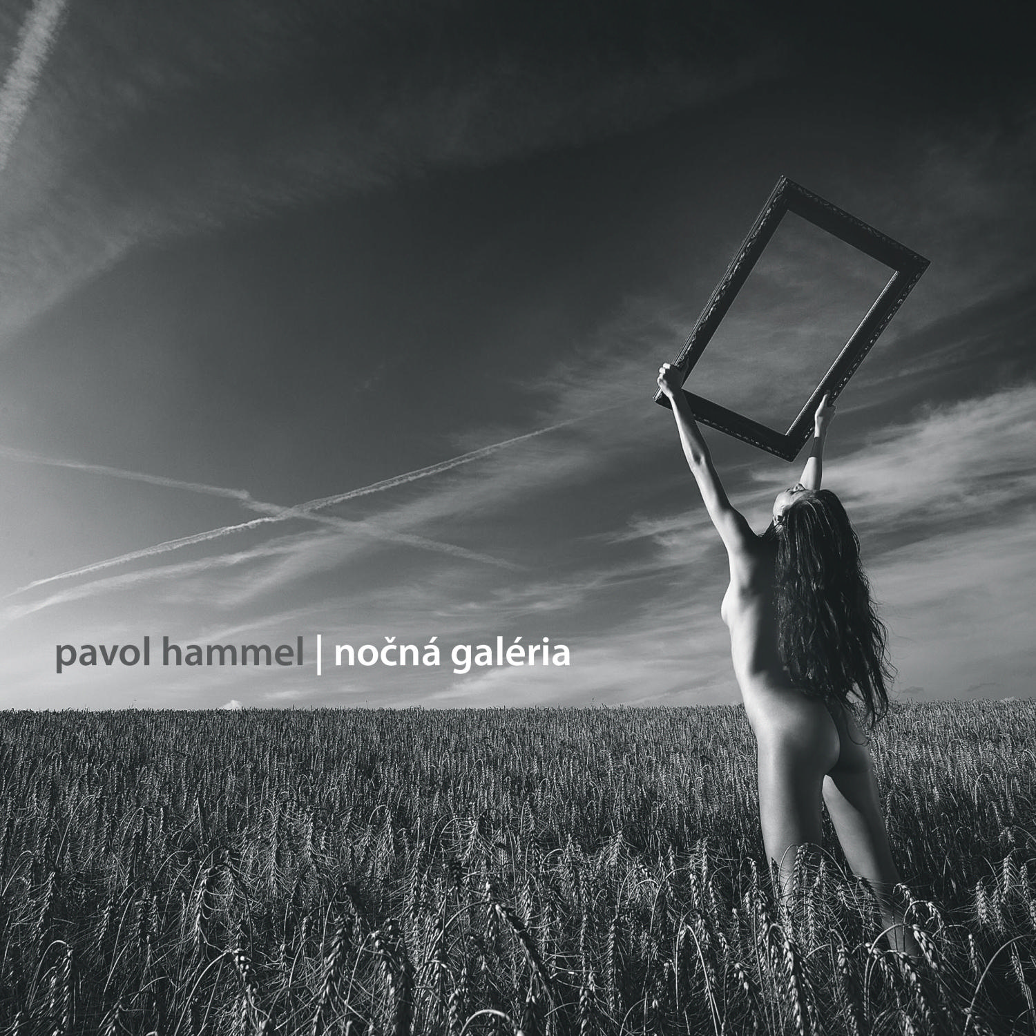 CD Shop - HAMMEL PAVOL NOCNA GALERIA