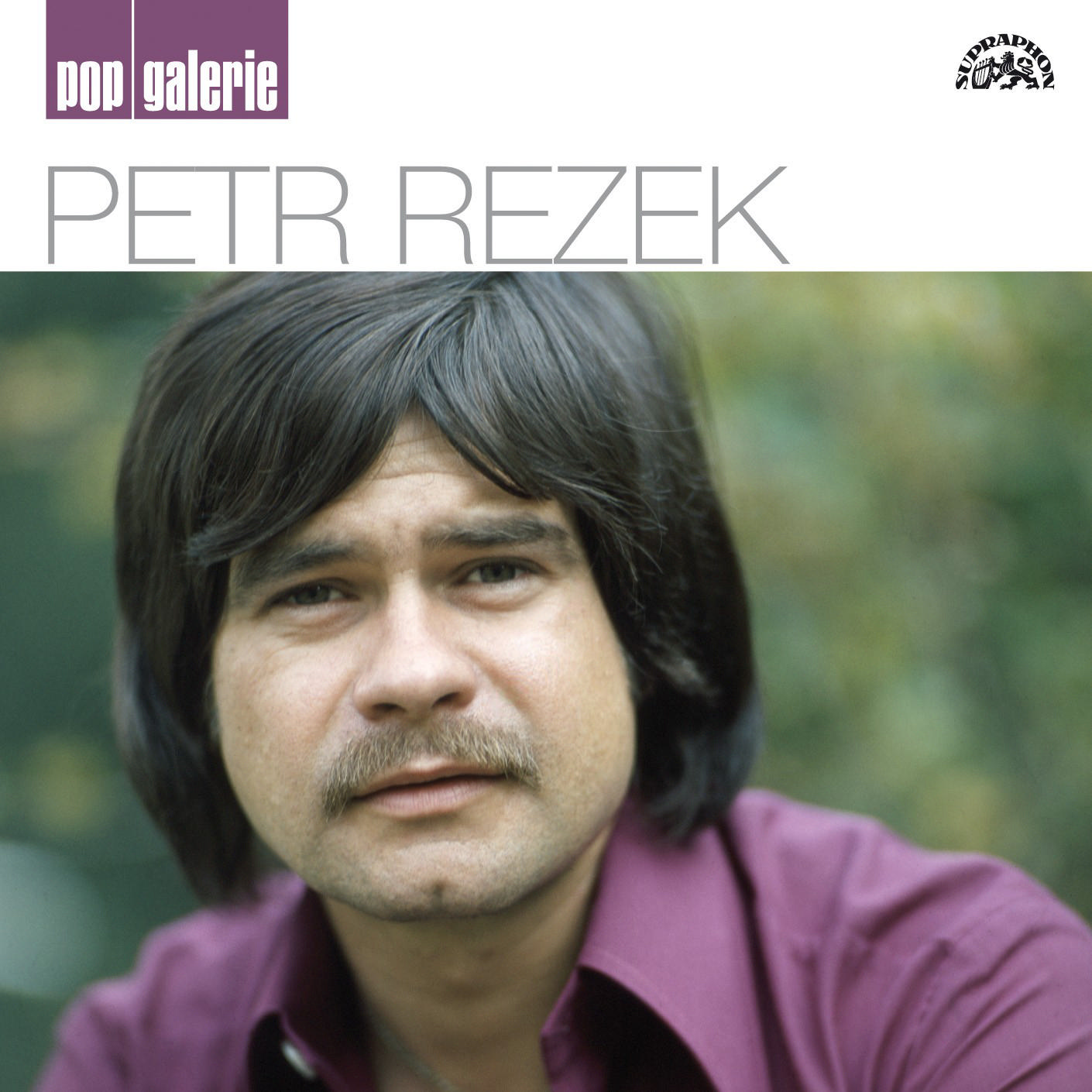CD Shop - REZEK PETR POP GALERIE