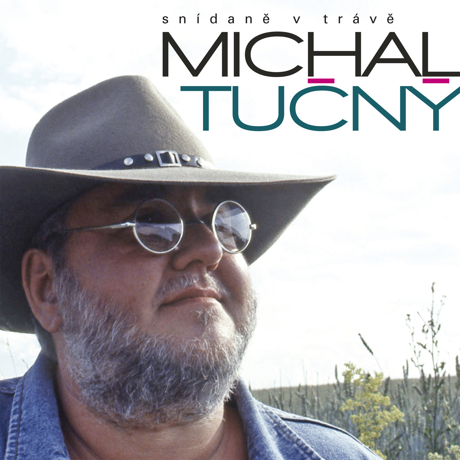 CD Shop - TUCNY MICHAL SNIDANE V TRAVE