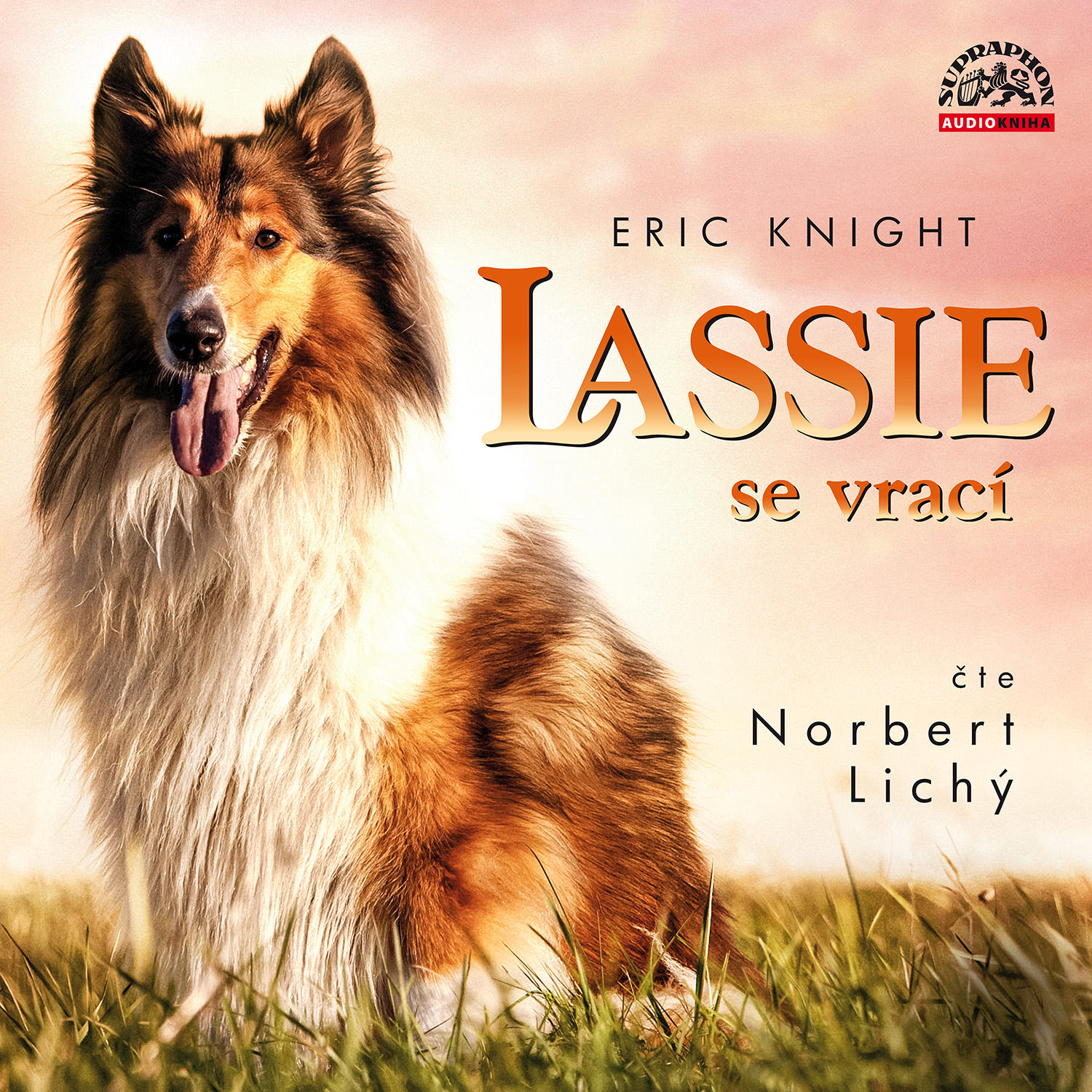 CD Shop - LICHY NORBERT KNIGHT: LASSIE SE VRACI (MP3-CD)