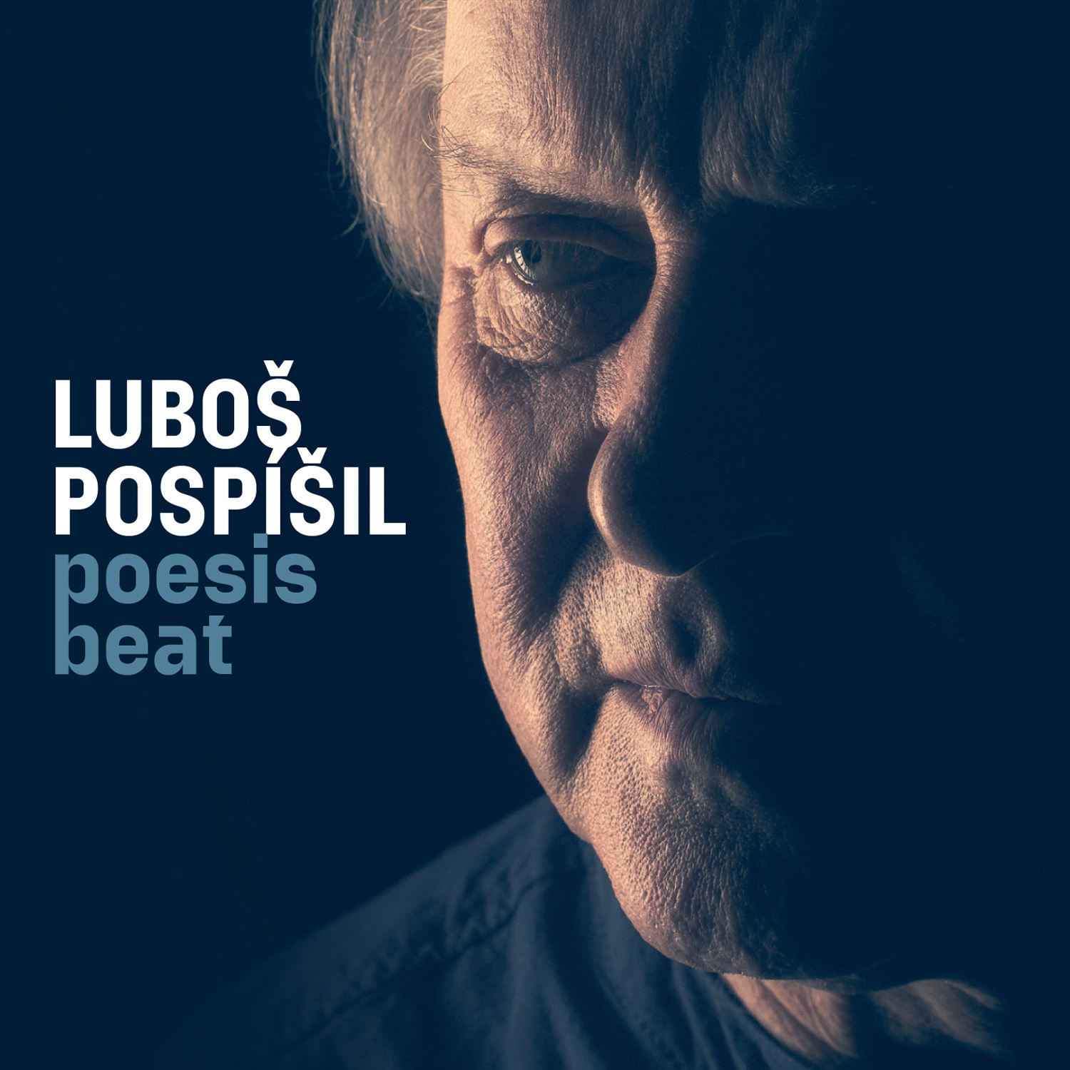 CD Shop - POSPISIL LUBOS POESIS BEAT