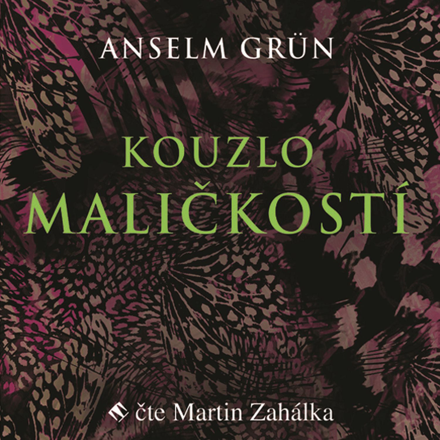 CD Shop - ZAHALKA MARTIN GRUN: KOUZLO MALICKOSTI (MP3-CD)