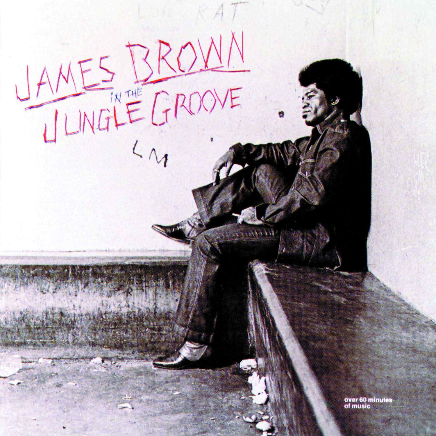 CD Shop - BROWN JAMES IN THE JUNGLE GROOVE
