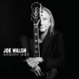CD Shop - WALSH, JOE ANALOG MAN