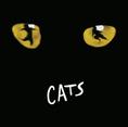 CD Shop - SOUNDTRACK CATS