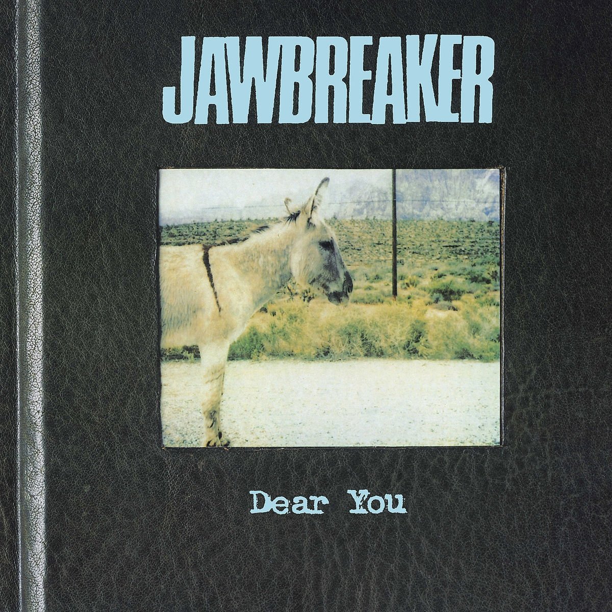 CD Shop - JAWBREAKER DEAR YOU