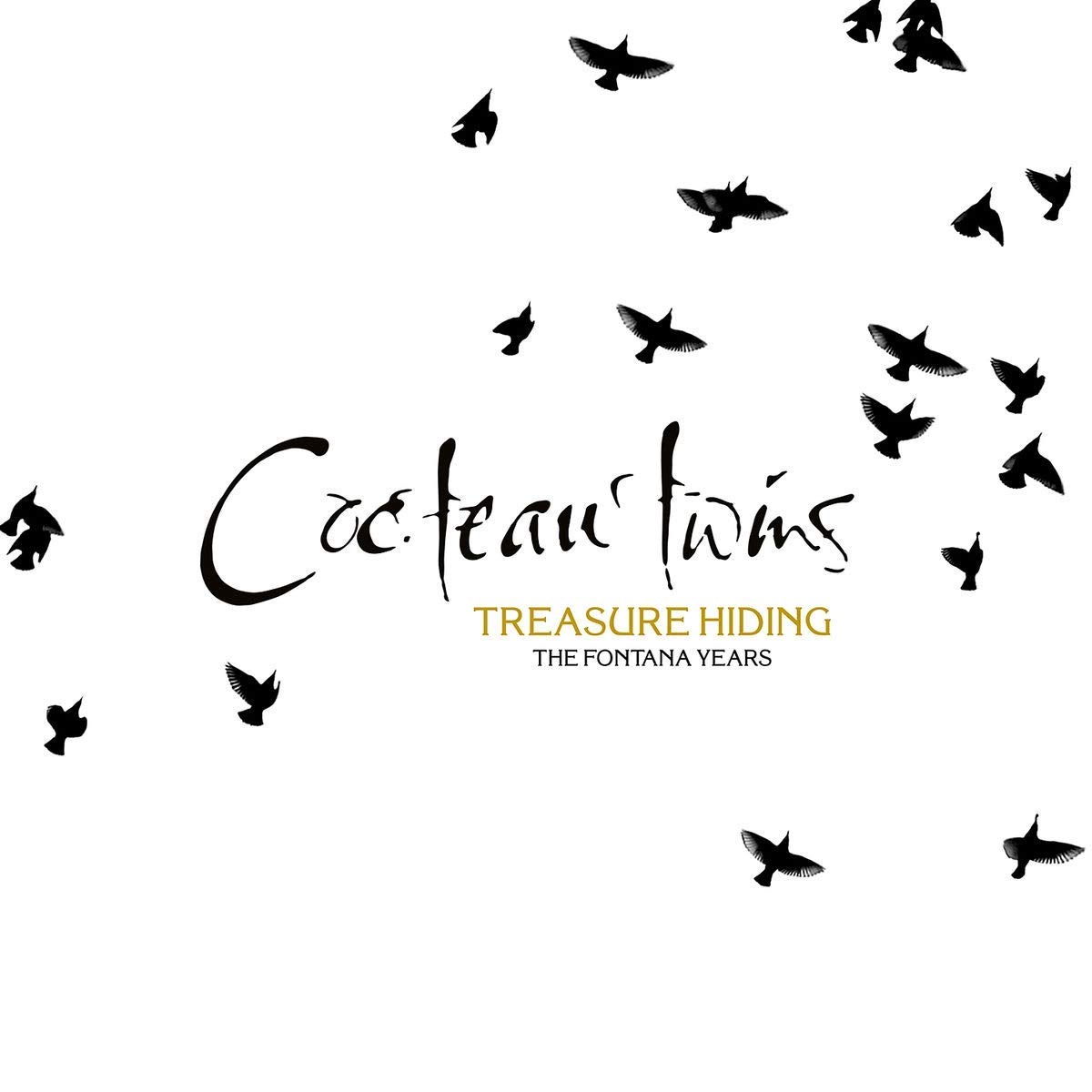 CD Shop - COCTEAU TWINS TREASURE HIDING: THE FONTANA YEARS
