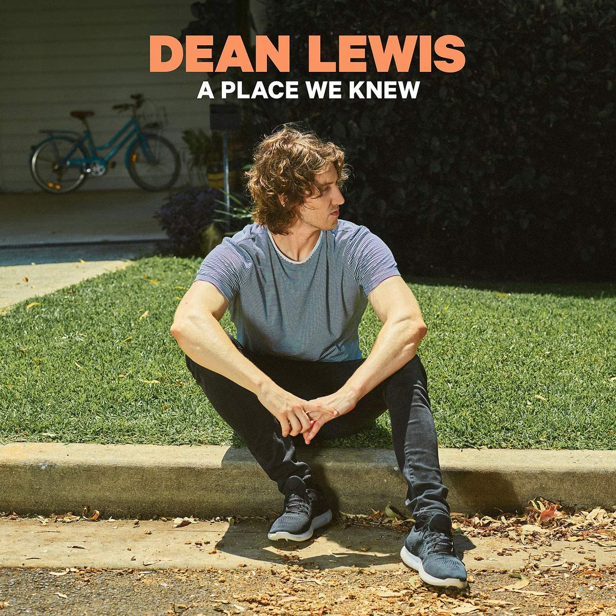 CD Shop - LEWIS DEAN A PLACE WE KNEW