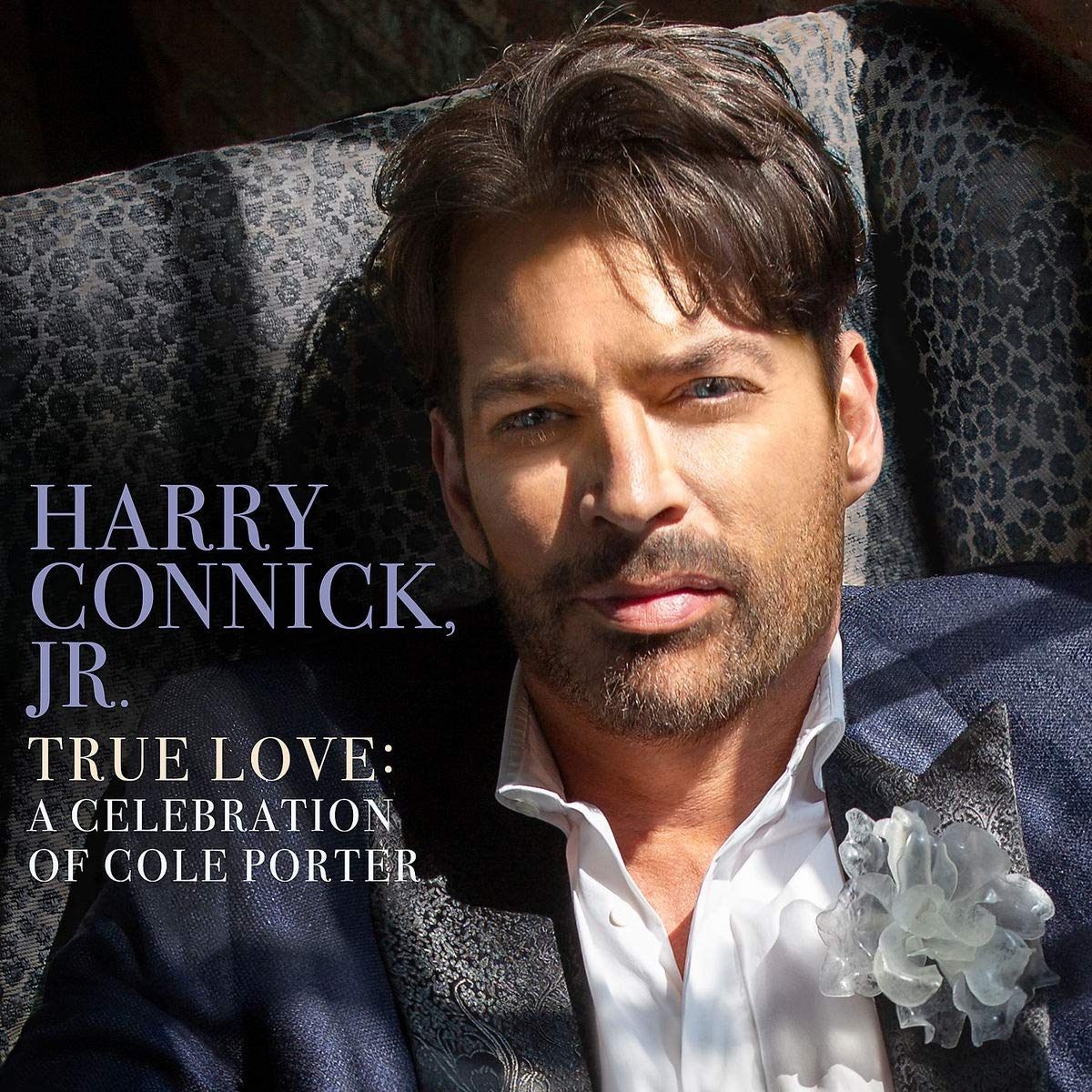 CD Shop - CONNICK HARRY JR. TRUE LOVE: A CELEBRATION