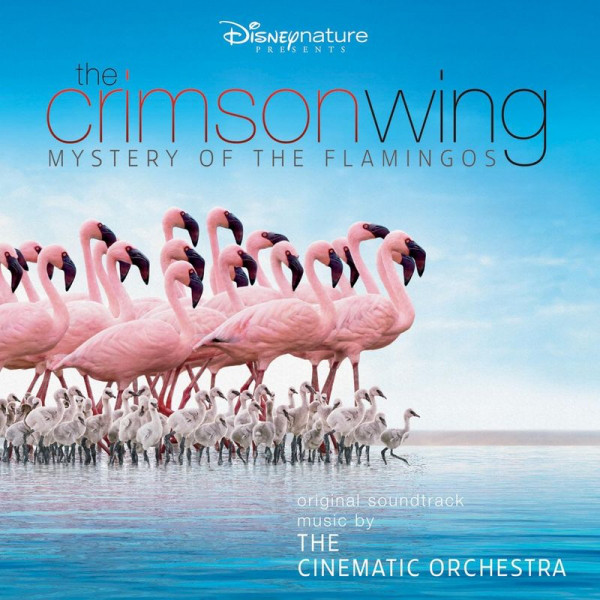CD Shop - CINEMATIC ORCHESTRA CRIMSON WING: MYSTERY OF THE FLAMINGOS