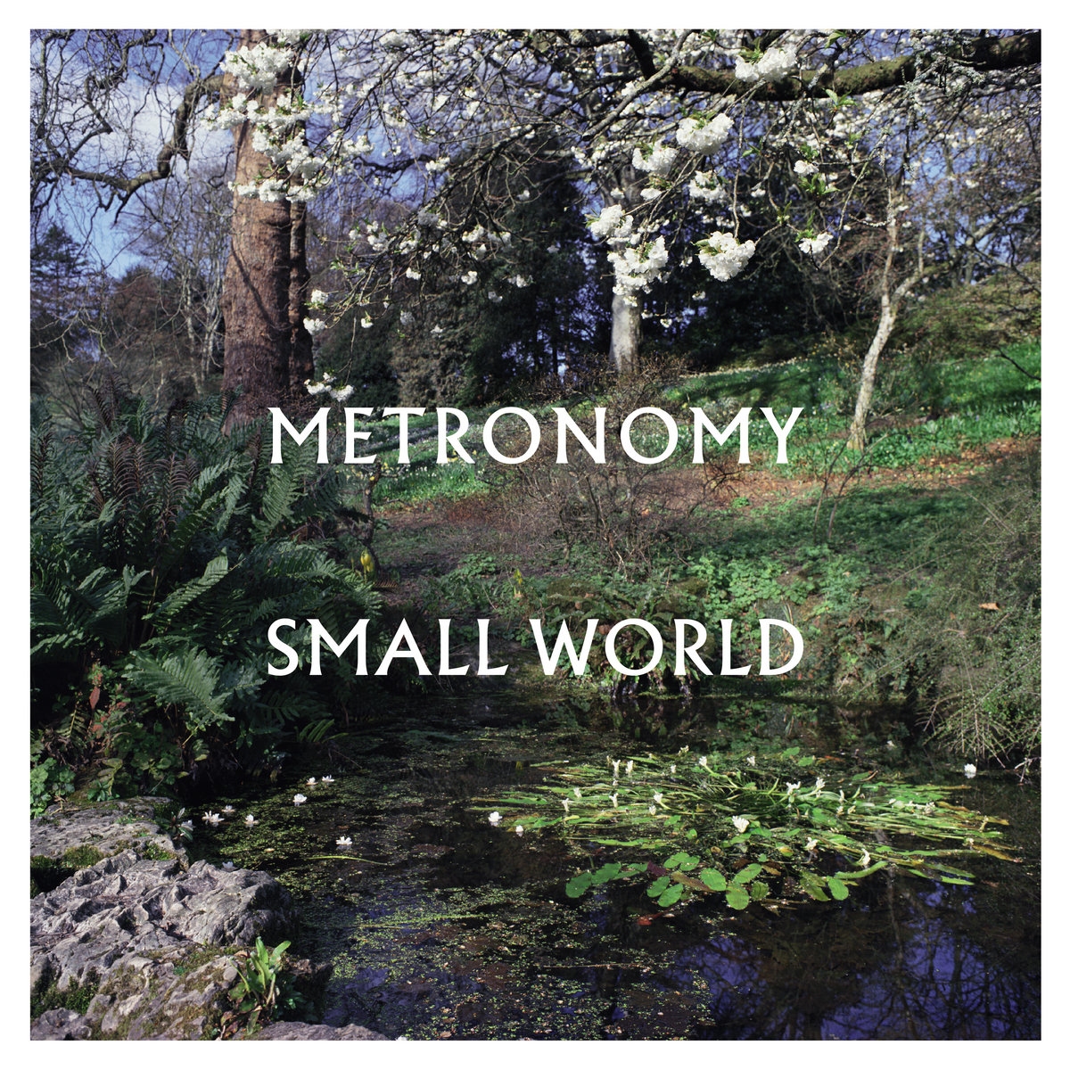 CD Shop - METRONOMY SMALL WORLD