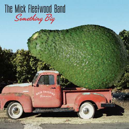 CD Shop - MICK FLEETWOOD BAND, THE SOMETHING BIG