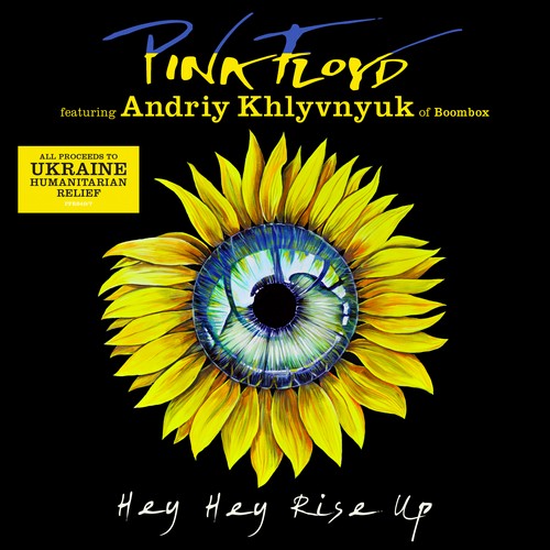 CD Shop - PINK FLOYD 7-HEY HEY RISE UP