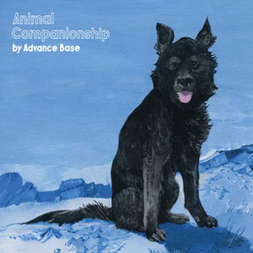 CD Shop - ADVANCE BASE ANIMAL COMPANIONSHIP