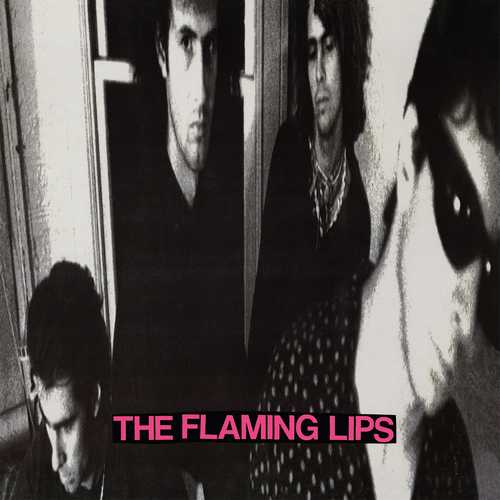 CD Shop - FLAMING LIPS IN A PRIEST DRIVEN AMBULANCE