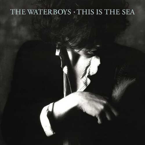 CD Shop - WATERBOYS THIS IS THE SEA