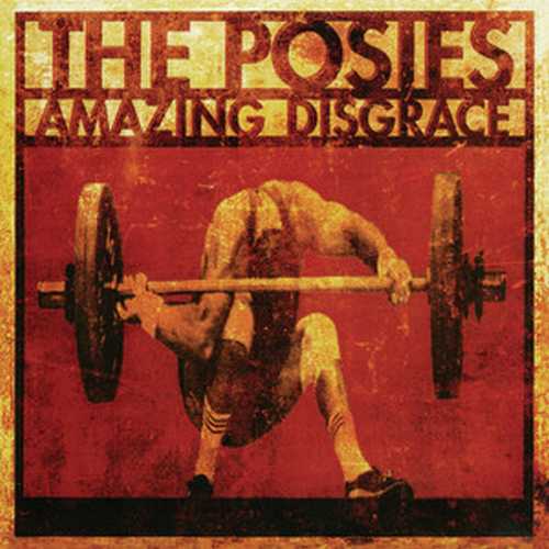 CD Shop - POSIES, THE AMAZING DISGRACE