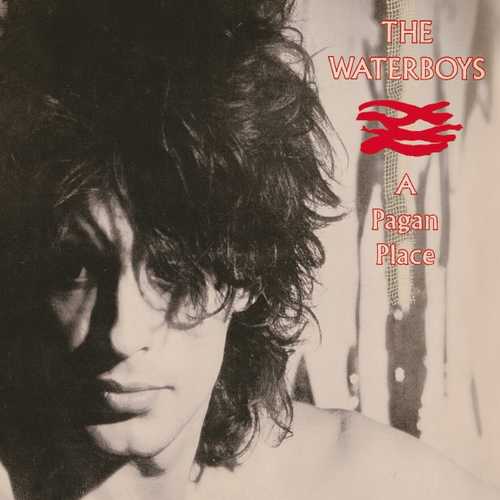 CD Shop - WATERBOYS, THE A PAGAN PLACE