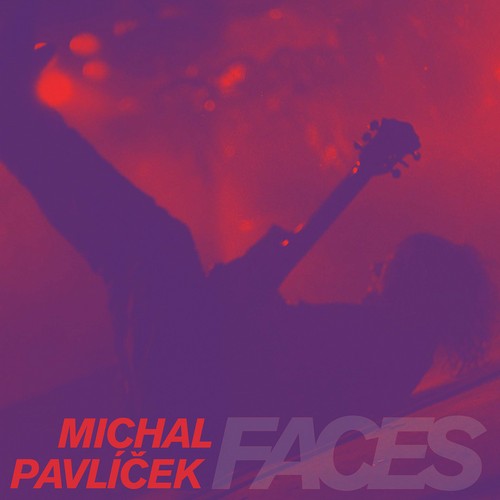 CD Shop - PAVLICEK, MICHAL FACES / 140GR.
