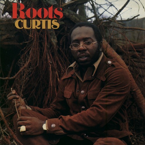 CD Shop - MAYFIELD, CURTIS ROOTS
