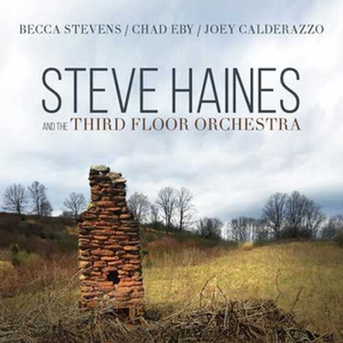 CD Shop - HAINES, STEVE AND THE THI STEVE HAINES AND THE THIRD FLOOR ORCHESTRA
