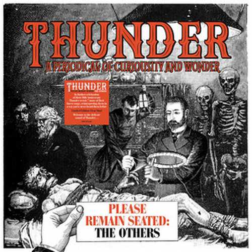 CD Shop - THUNDER RSD - PLEASE REMAIN SEATED - THE OTHERS