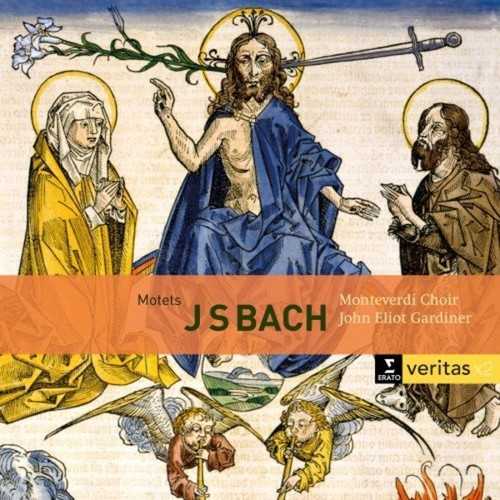CD Shop - BACH, JOHANN SEBASTIAN MOTETS BWV 225-231/CANTATAS